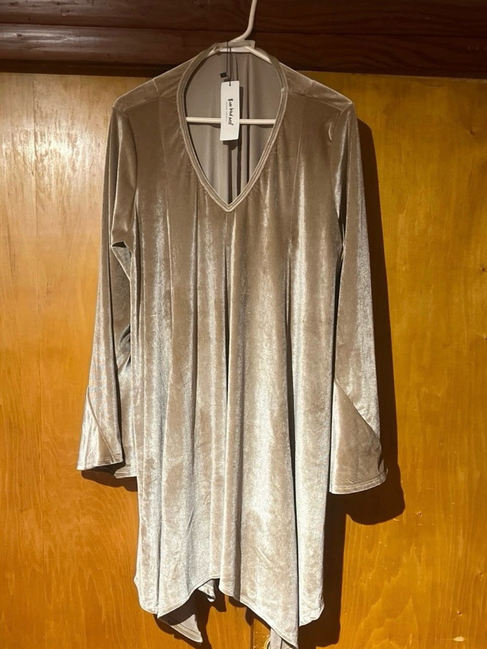 Three Bird Nest Shimmery Beige Velvet V-Neck Tunic